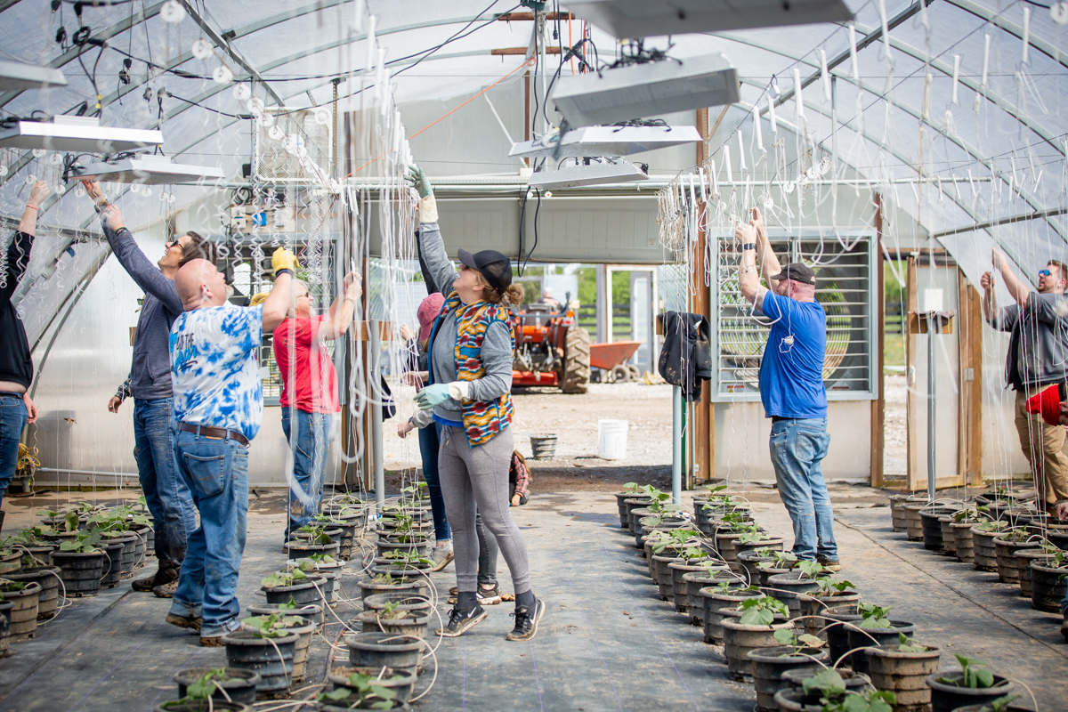 Tractor Supply Company Tractor Supply, Cul2vate Join Forces to Grow